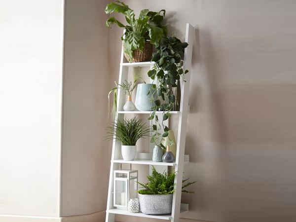 4 Amazing Small-Space Gardening Ideas For Every Plant Lover 4 4 Amazing Small-Space Gardening Ideas For Every Plant Lover 4
