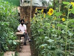 Some lessons in composting waste 1