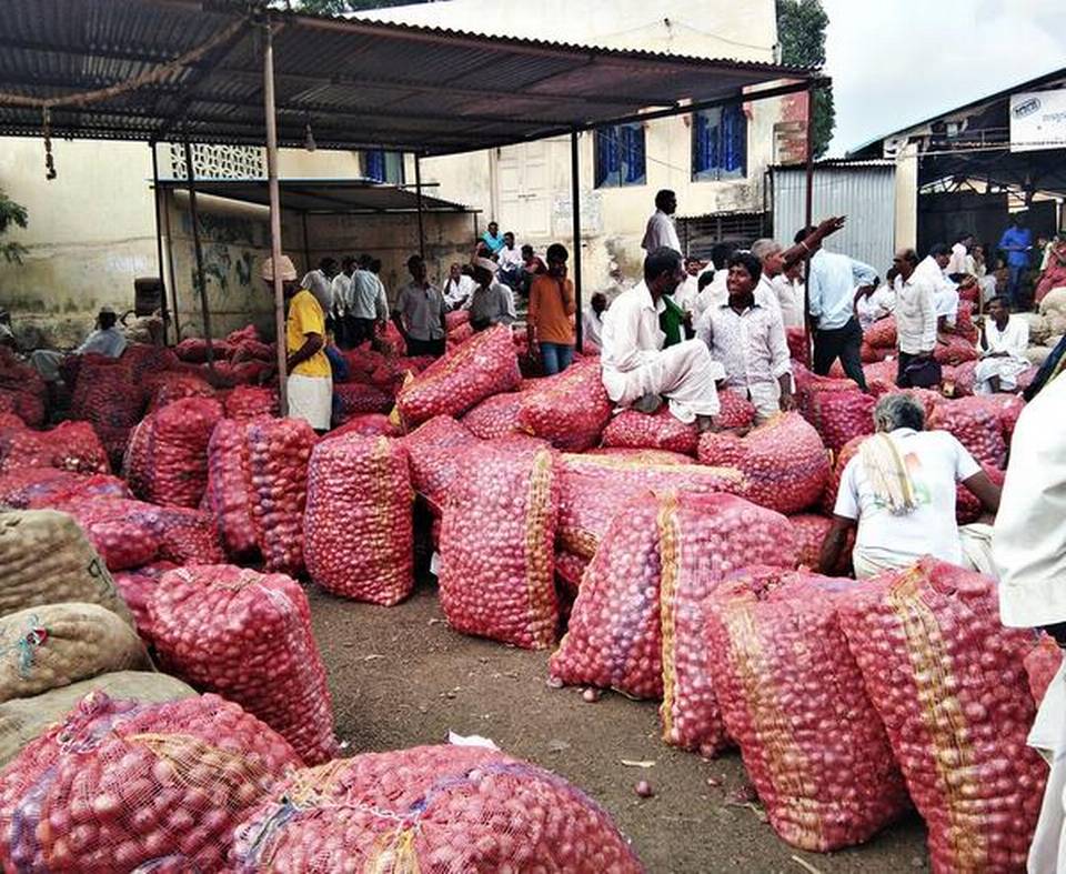 Growers protest as traders slash wholesale price of onion