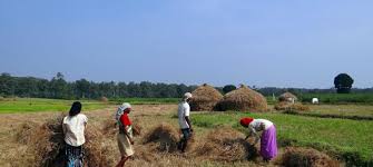 Andhra Pradesh to become India’s first Zero Budget Natural Farming state