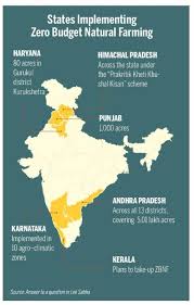Is Zero Budget Natural Farming Right for India?
