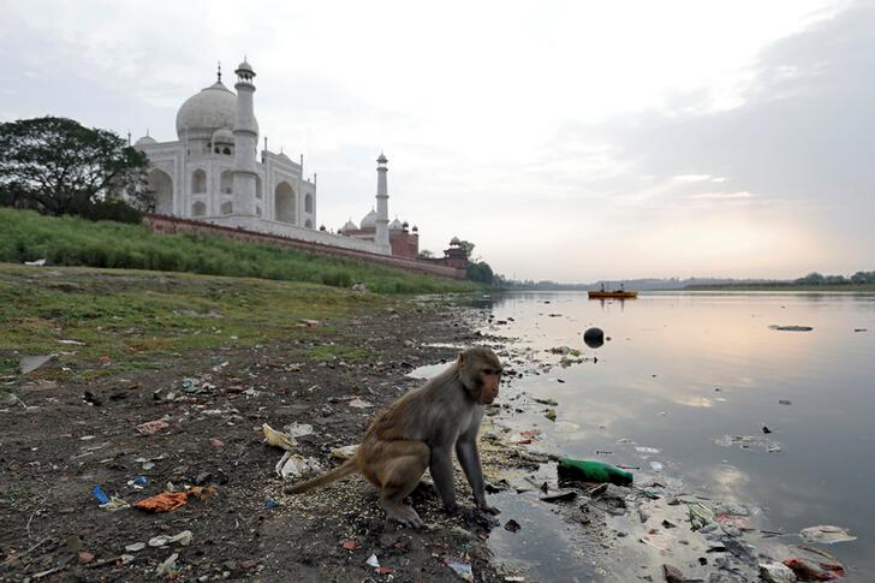 Water Released into Yamuna to Improve Its ‘Environmental Condition’ Ahead of Trump’s Visit