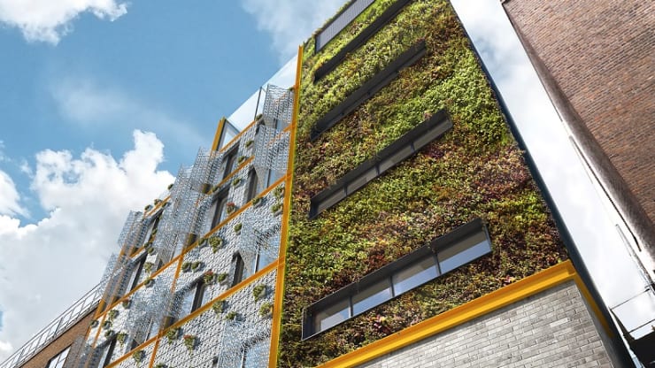 In cities around the world, living walls and green barriers could lift our moods and help tackle pollution