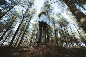 Trees have a society too – An Ideal Model for Collective survival and Growth!! 2