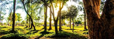 Dryland farming with microbe innoculation, no-till and multicropping to restore ecosystems.