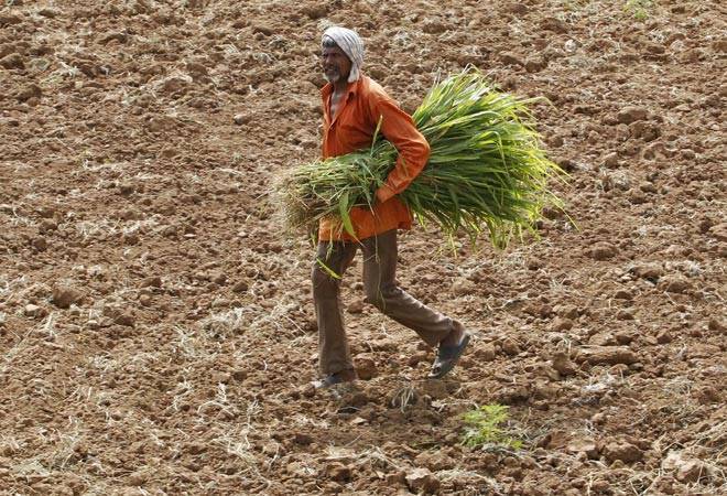 Govt plans to boost organic farming by doubling allocation, but experts say it’s anti Swadeshi