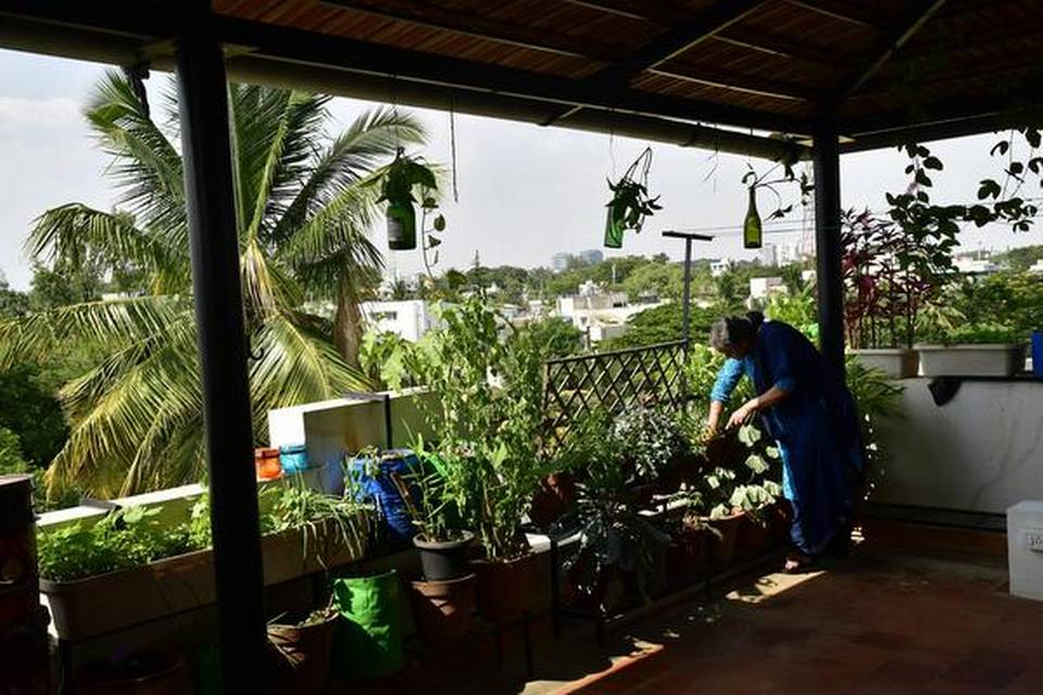 Pioneer of terrace gardening passes away