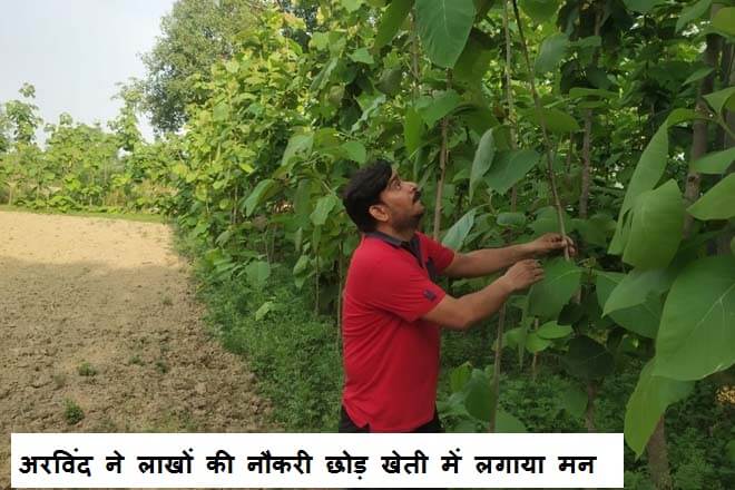 Agriculture Success Story Of Farmer : सिर्फ एक साल में ये किसान खेती से बना करोड़पति जानिए कैसे