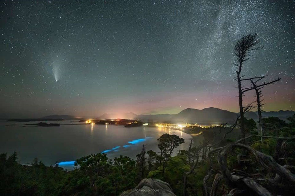 Spellbinding image captures rare comet, northern lights, Milky Way, and bioluminescence in B.C. (PHOTOS)