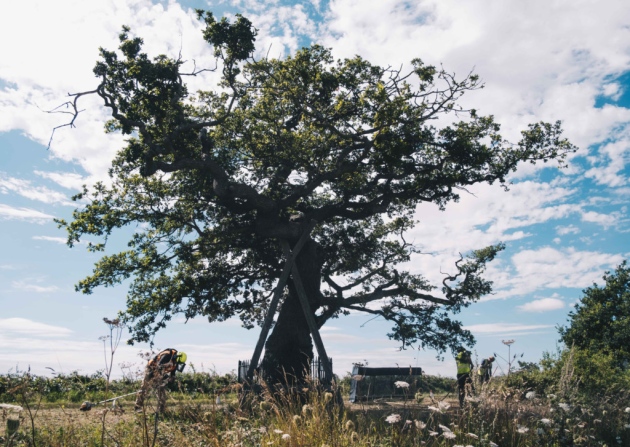 Seema Deokar: Daughter of the Soil