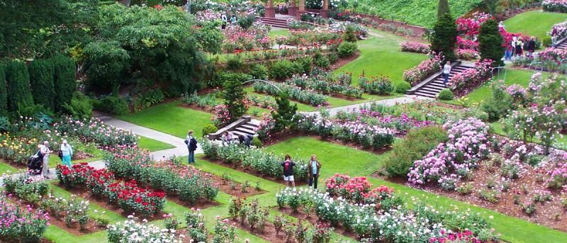 Washington Park – International Rose Test Garden
