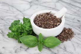 27 Purported Benefits of Tulsi & Holy Basil