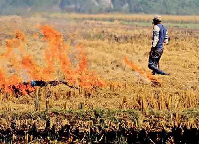 Why Punjab needs a thrust for start-ups to deal with stubble burning