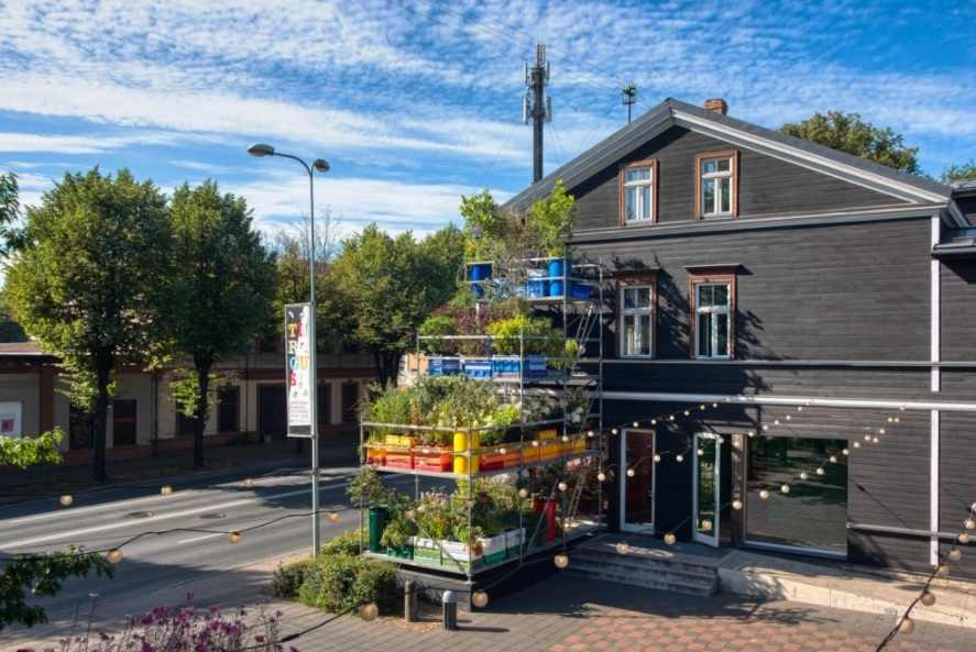 Vertical garden experiment aims to measure the impact of city pollution on horticulture