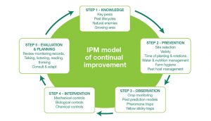 ELEGANT & EFFICIENT: BEST PRACTICES IN AGRICULTURE 3