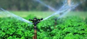 ELEGANT & EFFICIENT: BEST PRACTICES IN AGRICULTURE 4