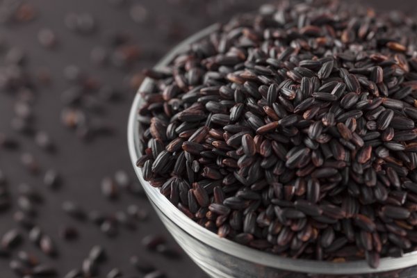 BLACK RICE: HOW IT CHANGED THE LIVES OF FARMERS IN ASSAM