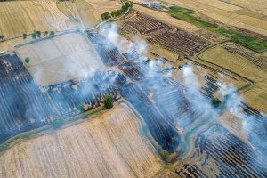 Greenstories-Smoke From Burning Rice Stubble