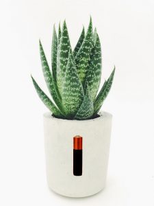 ALOE E-CELL, THE FUTURE OF GREEN ENERGY 3