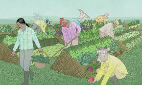 HEALING WOUNDS: REGENERATIVE FARMING 4