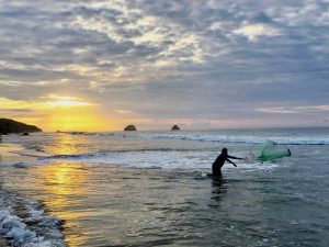 New Study Shows a Vicious Circle of Climate Change Building on Thickening Layers of Warm Ocean Water 1 Greenstories-fisher