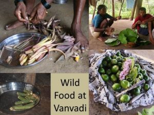 Conservation of Uncultivated Food 3 Conservation of Uncultivated Food 2