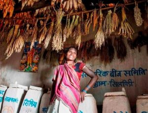 Conservation of Uncultivated Food 1 Greenstories-foods