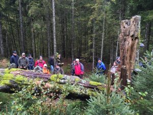 Targeted Ecosystem Restoration Can Protect Climate, Biodiversity 1