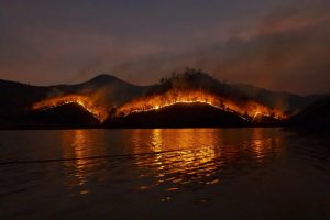 Greenstories-forestfire