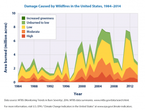 Forest Fires: A threat to the upcoming generations 2