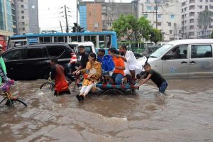 Is it true climate change will cause the end of civilisation by 2050? 1