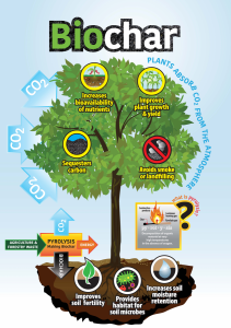 The young ancient secret of BIOCHAR 4 The young ancient secret of BIOCHAR 3