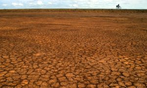 The front-facing threat of soil degradation 2
