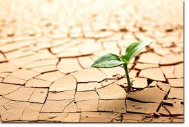 The front-facing threat of soil degradation 3