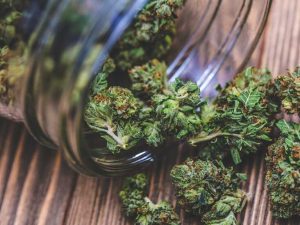Greenstories-CBD