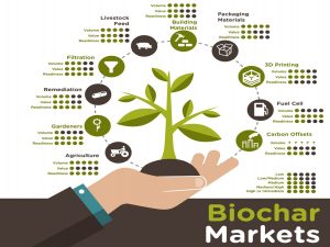 Biochar: the emerging economic miracle 1