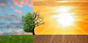 Greenstories-climate-change-206324012801-916413-1605566388