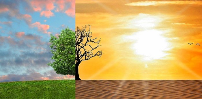 How a human cousin adapted to a changing climate