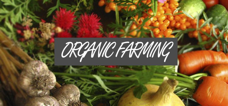 Incredible benefits of organic farming you must know