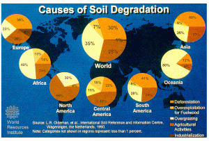 Greenstories-soil degradation