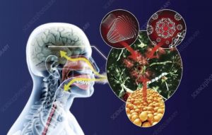 Nanotechnology and future effects of nano pollution/nanotoxicology 1