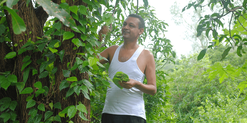 Back to the roots: how this techie-turned farmer helped villagers embrace organic farming in Maharashtra