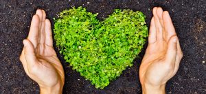 Greenstories-bigstock-growing-tree-65289637