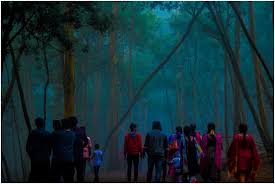 Amazing Indian Bio-Diversity – Part 1