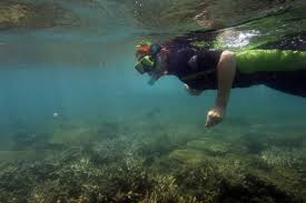 Australia’s Great Barrier Reef ‘critical’ due to climate change