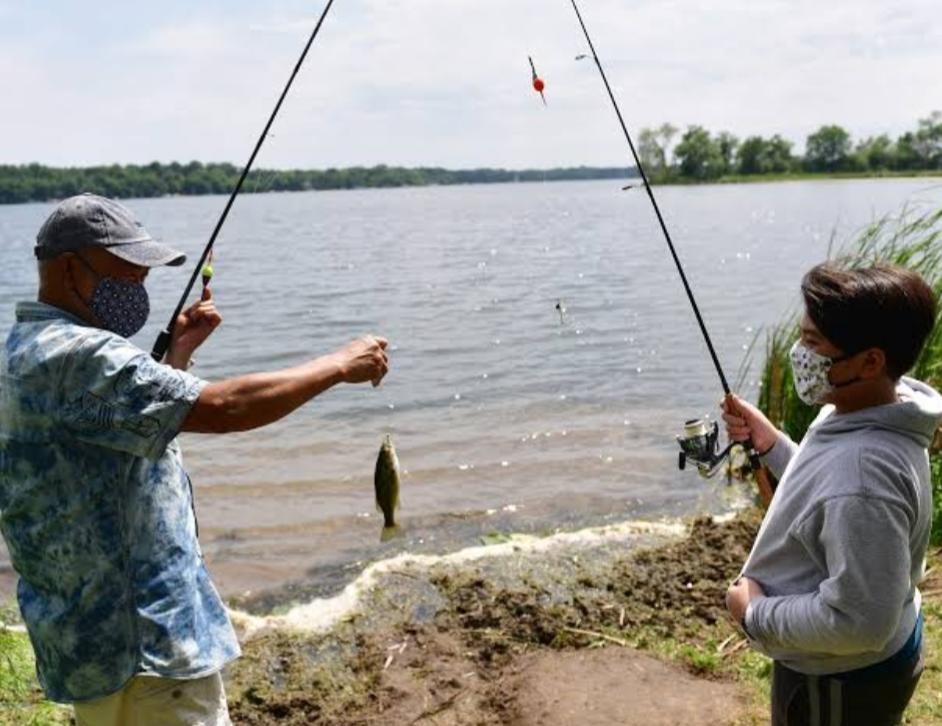 Fishing and its effect on the marine ecosystem