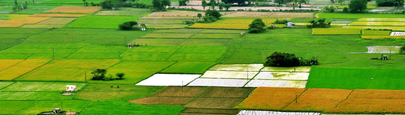 Green revolution, green or not so green?