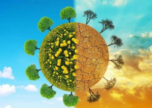 Carbon Footprint – Facts and Effects 1