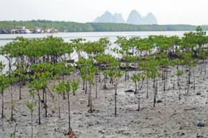 Approaches To Greenbelt Design 2 Approaches To Greenbelt Design 1