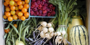 Intensive Farming – Worth The Effort!! 1